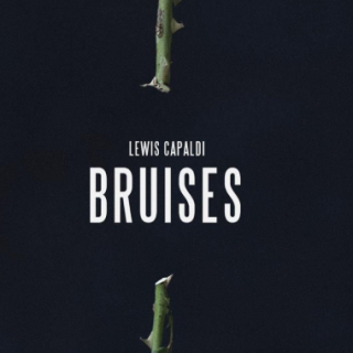 Bruises