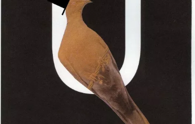 U (Man Like)