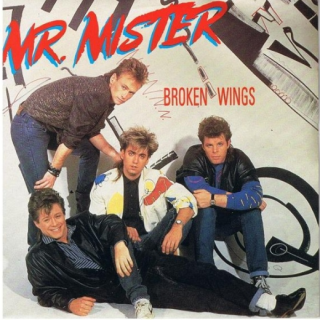 Broken Wings