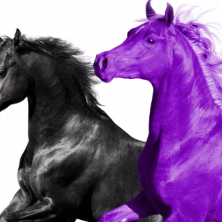 Seoul Town Road
