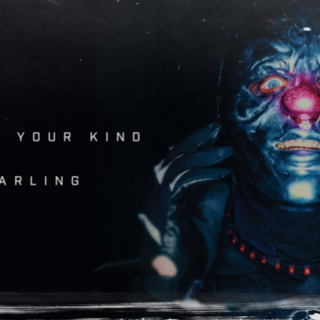 Critical Darling