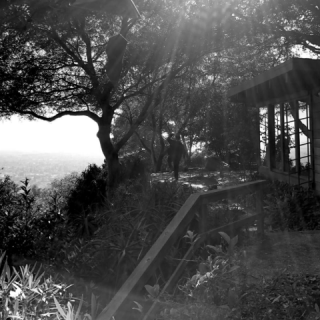 Take Me to the Light
