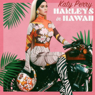 Harleys in Hawaii