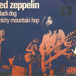 Black Dog