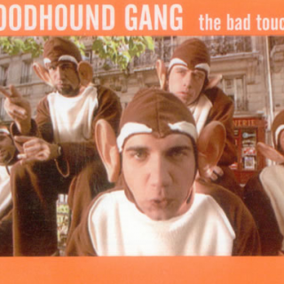 Bloodhound