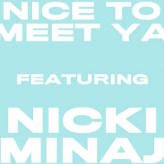 Nice to Meet Ya