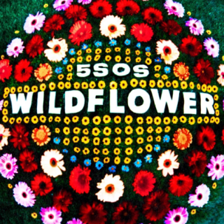 Wildflower