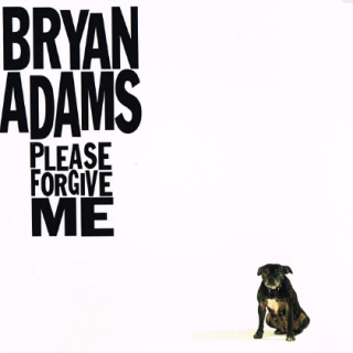 Please Forgive Me by Bryan Adams