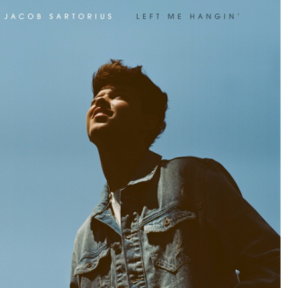 Selfish by Jacob Sartorius