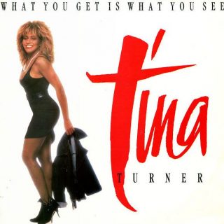 What You Get Is What You See by Tina Turner