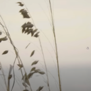 August