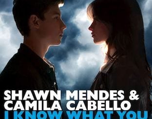 I Know What You Did Last Summer by Shawn Mendes