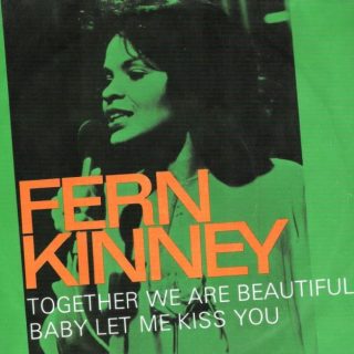 Together We Are Beautiful by Fern Kinny