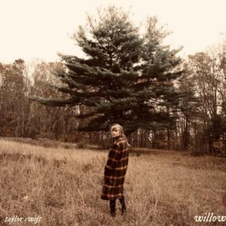 "Willow" by Taylor Swift