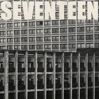Seventeen Going Under