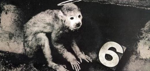 Monkey Gone To Heaven