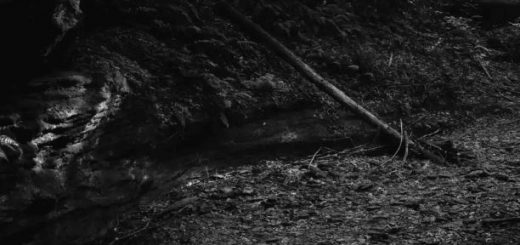 Into the Earth