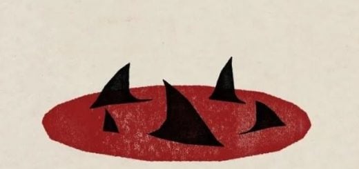 Sharks
