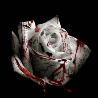 Romantic Homicide