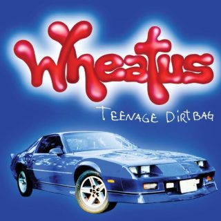 Teenage Dirtbag