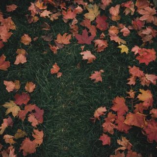 October Passed Me By