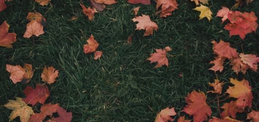 October Passed Me By