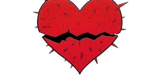 My Stupid Heart