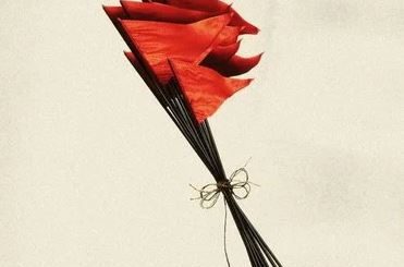 ​​Red Flag Collector