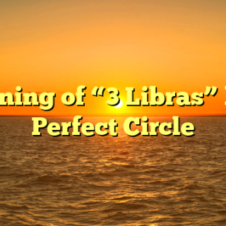 Meaning of “3 Libras” by A Perfect Circle