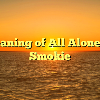 Meaning of All Alone by Smokie