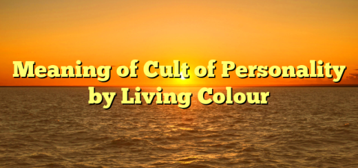 Meaning of Cult of Personality by Living Colour