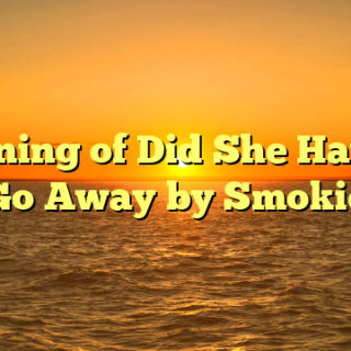 Meaning of Did She Have to Go Away by Smokie