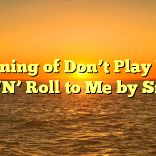 Meaning of Don’t Play Your Rock ‘N’ Roll to Me by Smokie