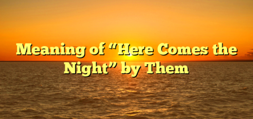 Meaning of “Here Comes the Night” by Them
