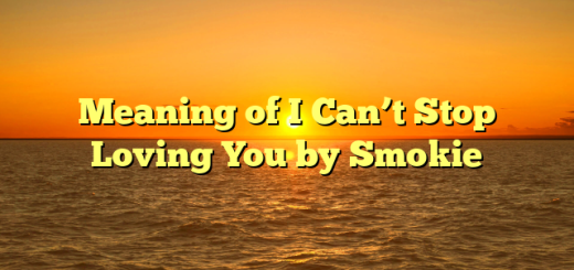 Meaning of I Can’t Stop Loving You by Smokie