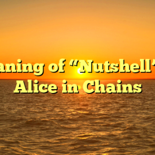 Meaning of “Nutshell” by Alice in Chains