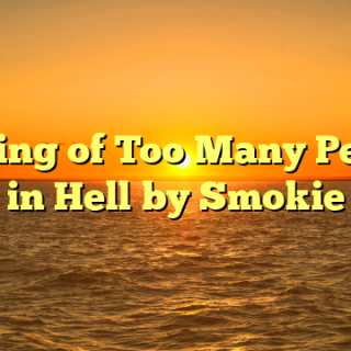 Meaning of Too Many Pennies in Hell by Smokie