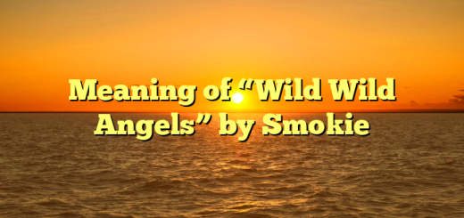 Meaning of “Wild Wild Angels” by Smokie