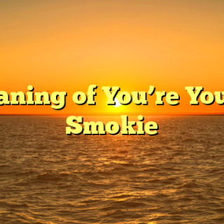 Meaning of You’re You by Smokie