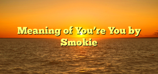 Meaning of You’re You by Smokie