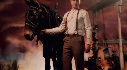 "Percheron Mules"