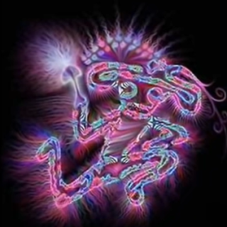 Divine Moments of Truth Shpongle
